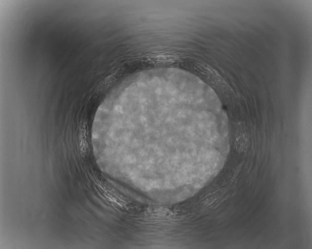 X0000081590866200702121511