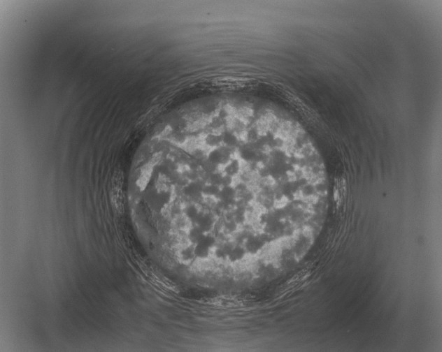 X0000081590867200702121511