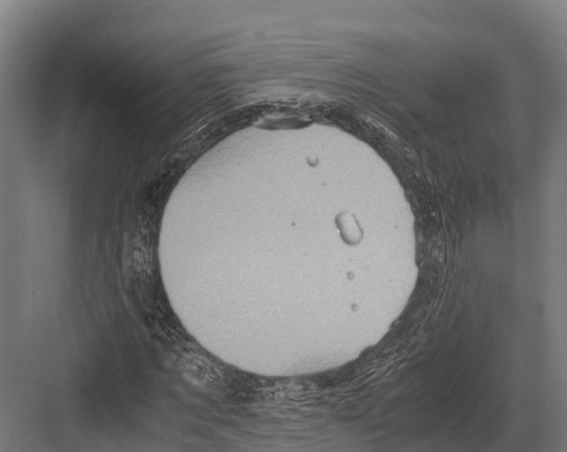 X0000081590869200702121511