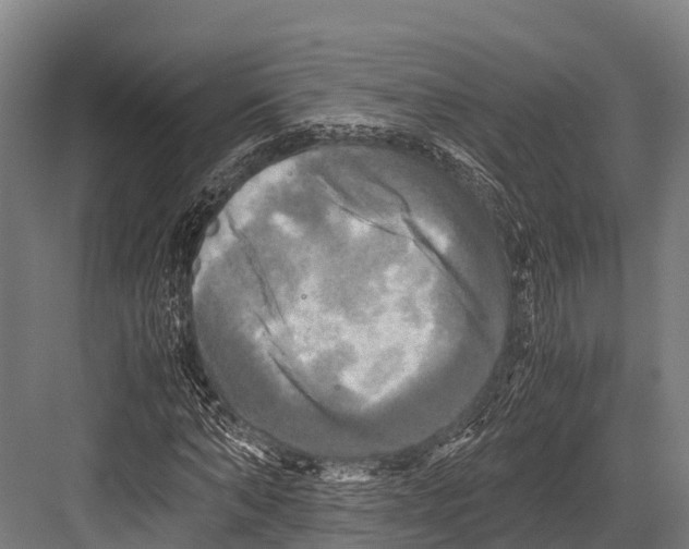 X0000081590870200702121511