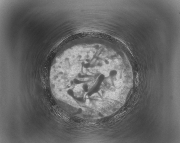 X0000081590871200702121511