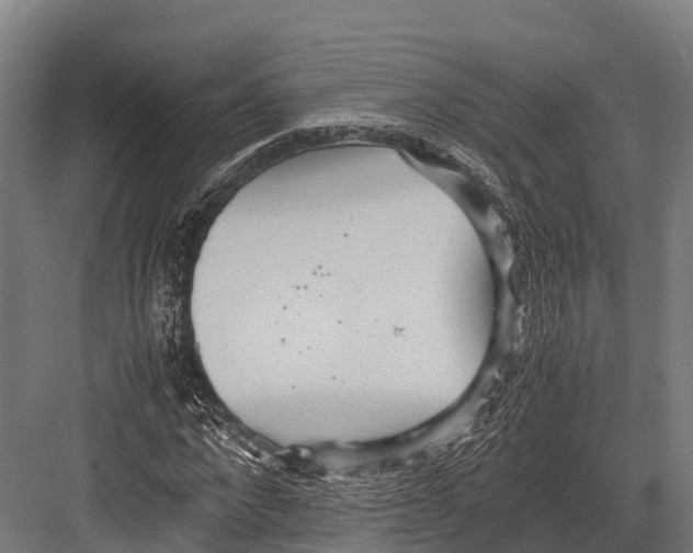 X0000081590872200702121511