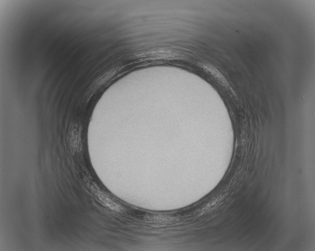 X0000081590873200702121511