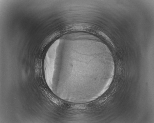 X0000081590874200702121511