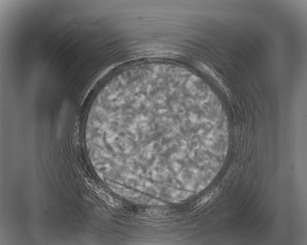 X0000081590875200702121511