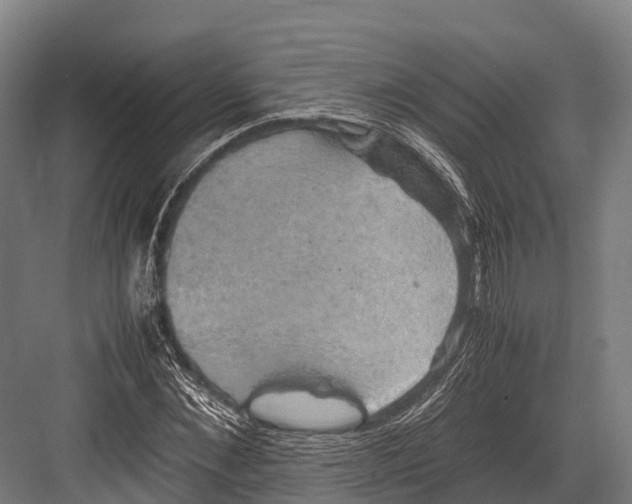 X0000081590876200702121511