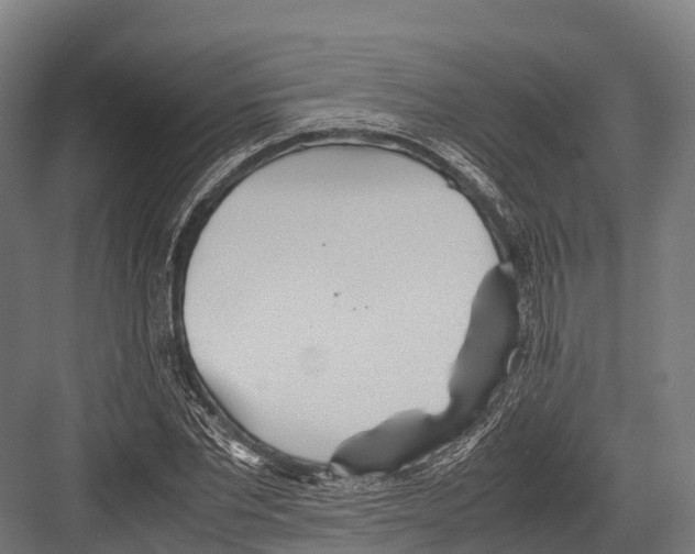 X0000081590877200702121511