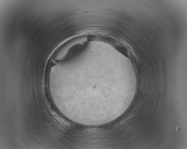 X0000081590880200702121511