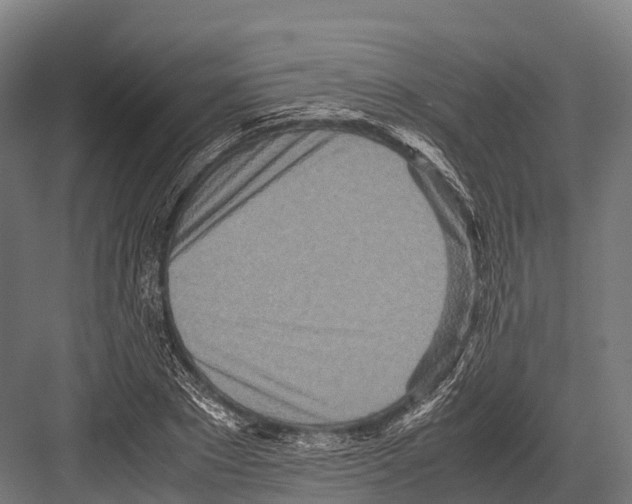 X0000081590881200702121511