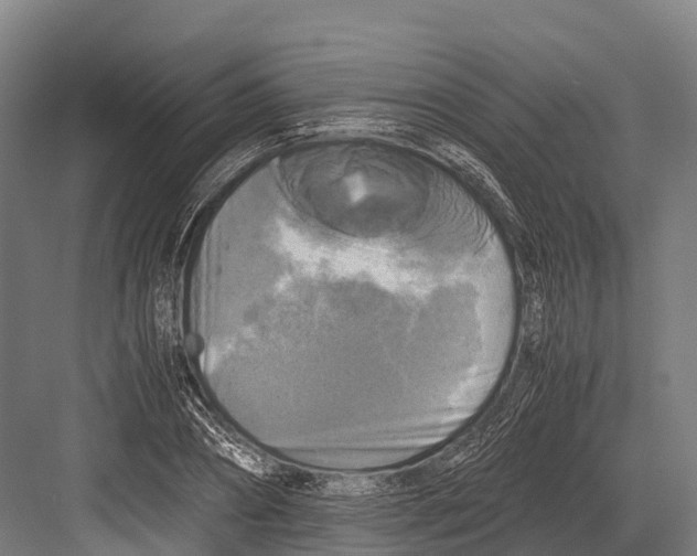 X0000081590882200702121511