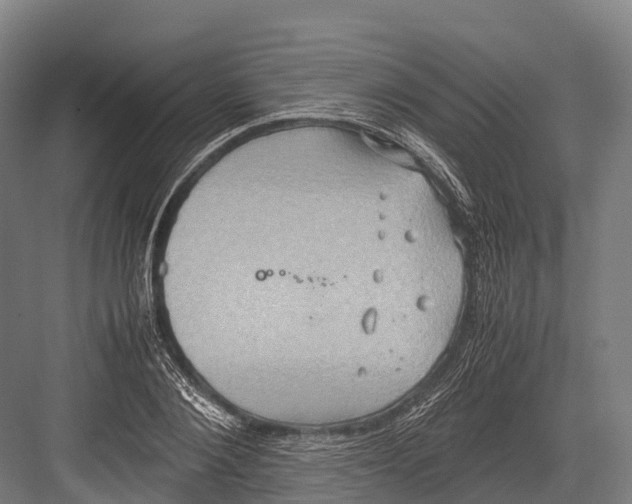 X0000081590884200702121511