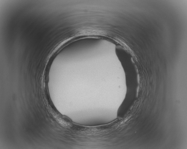 X0000081590885200702121511