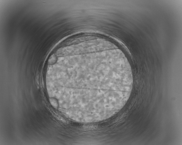 X0000081590887200702121511