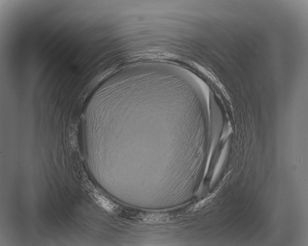 X0000081590889200702121511