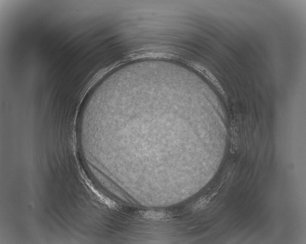 X0000081590890200702121511