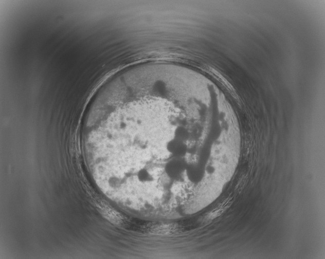 X0000081590891200702121511