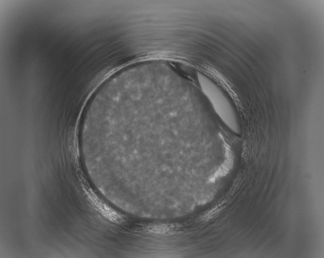 X0000081590892200702121511