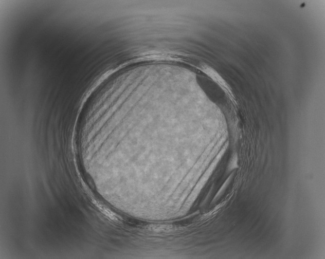 X0000081590893200702121511