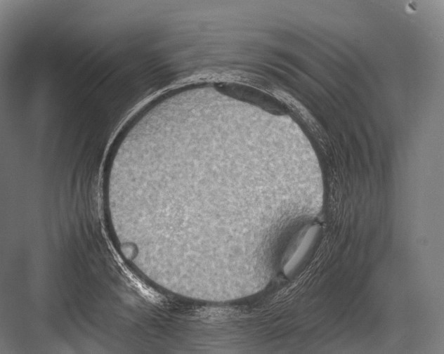 X0000081590894200702121511