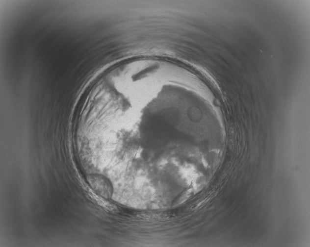 X0000081590895200702121511