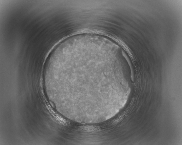 X0000081590896200702121511