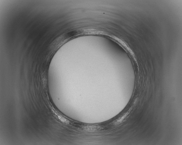 X0000081590897200702121511