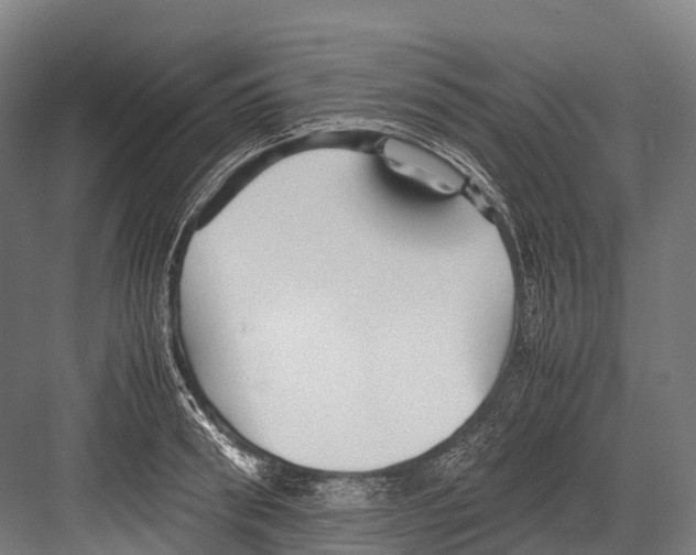 X0000081590898200702121511