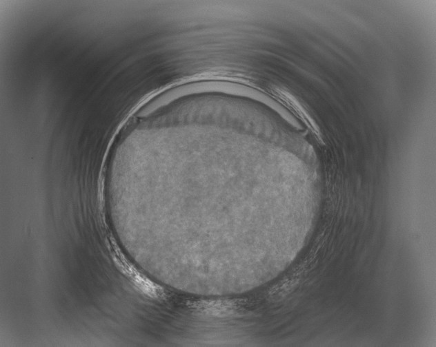 X0000081590900200702121511