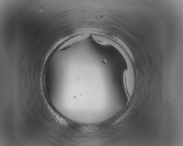 X0000081590901200702121511