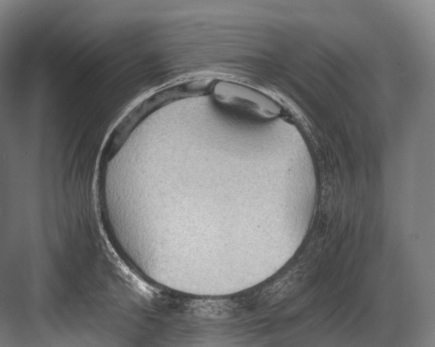 X0000081590902200702121511