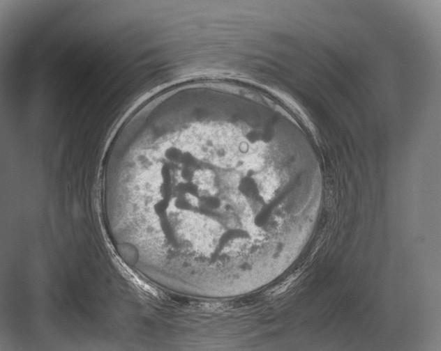 X0000081590903200702121511