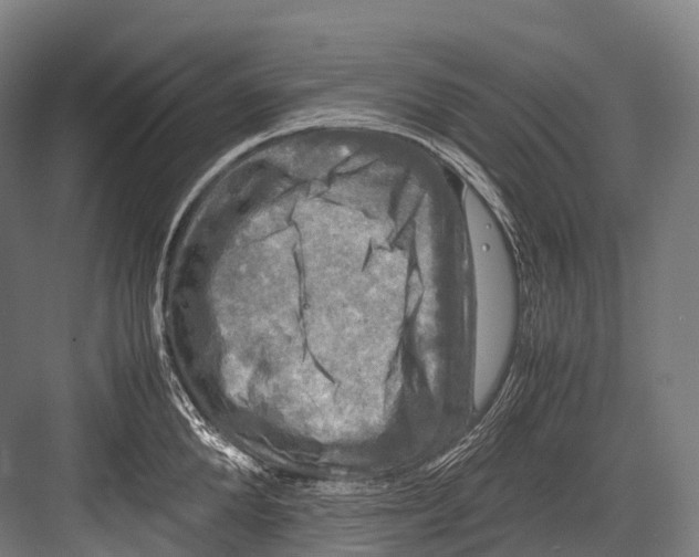 X0000081590904200702121511