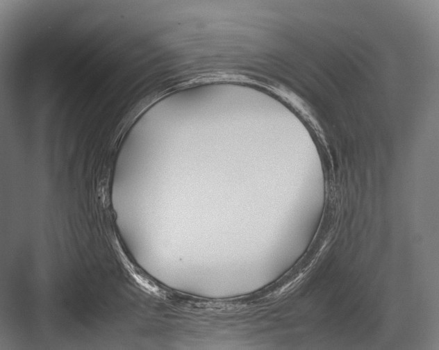 X0000081590905200702121511