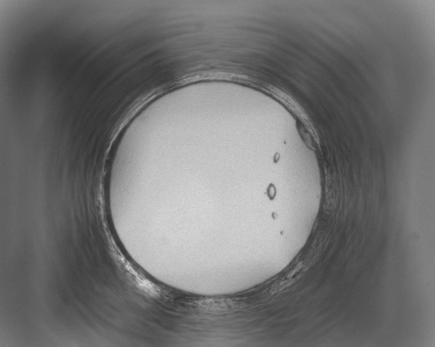 X0000081590906200702121511