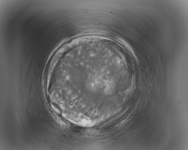 X0000081590907200702121511