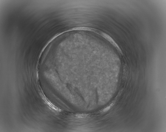 X0000081590908200702121511