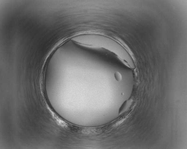 X0000081590909200702121511