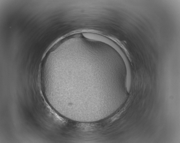 X0000081590910200702121511