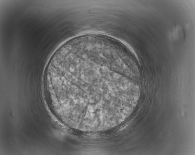 X0000081590911200702121511