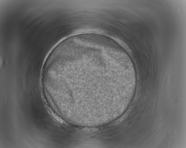 X0000081590912200702121511