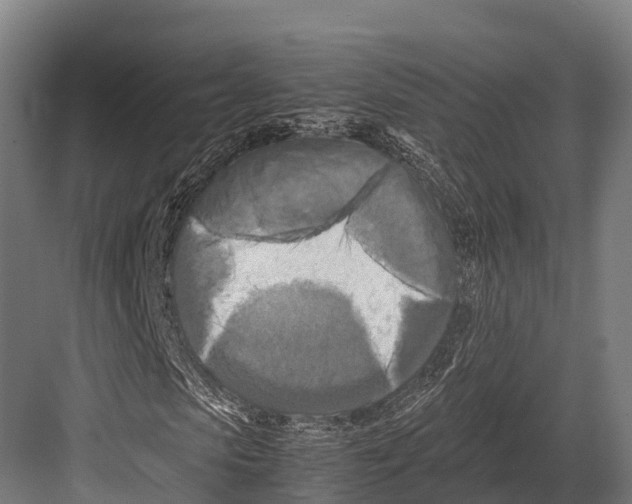 X0000081590913200702121510