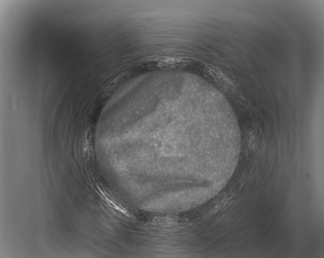 X0000081590914200702121510