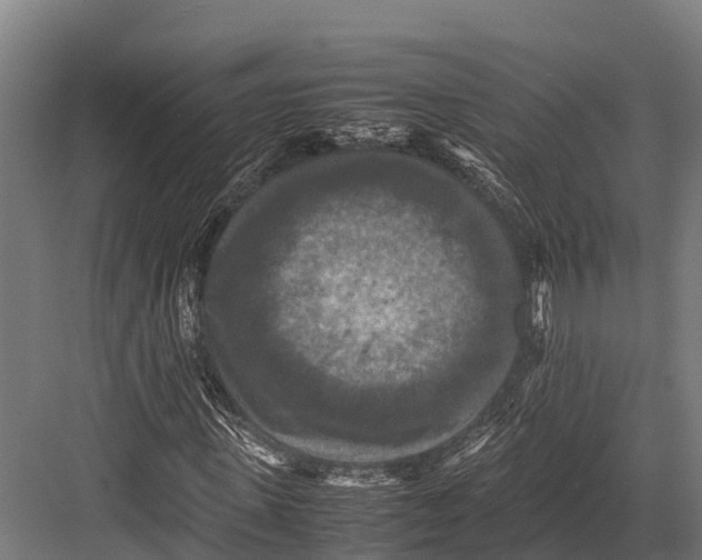 X0000081590915200702121510