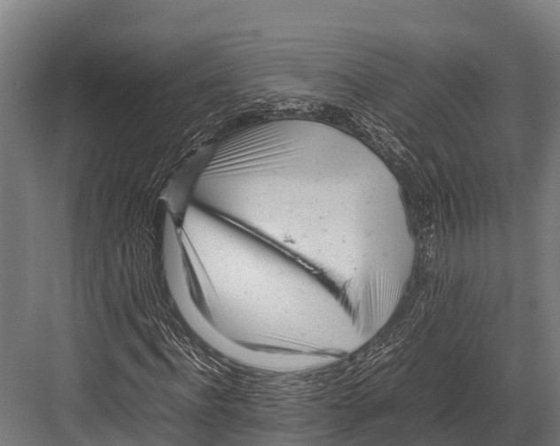 X0000081590916200702121510