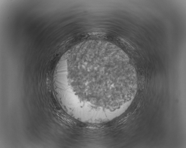 X0000081590917200702121510