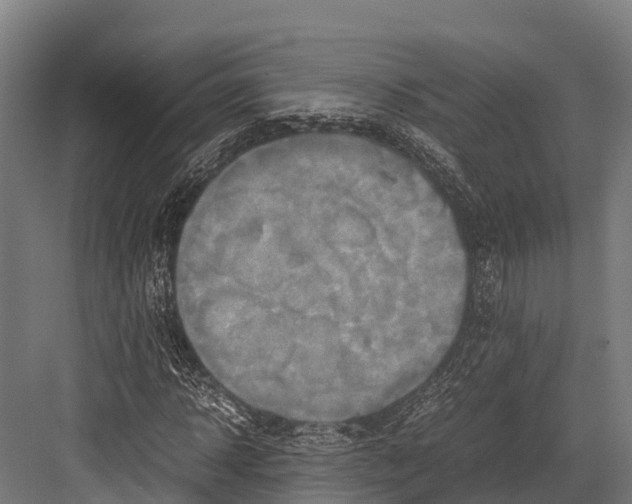 X0000081590918200702121510