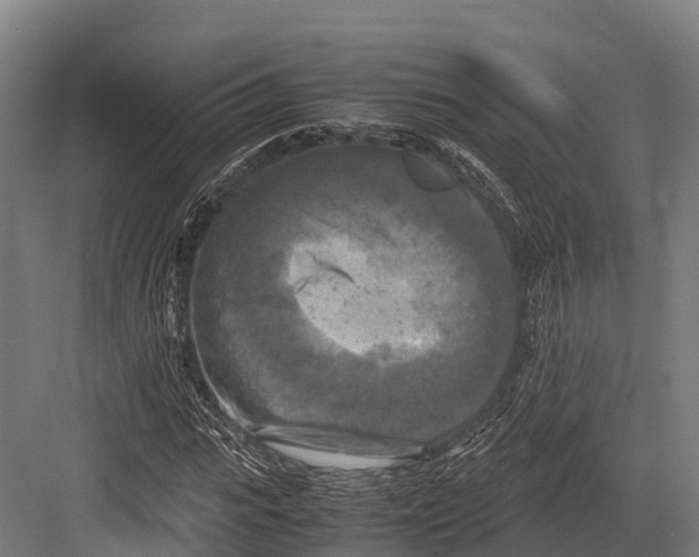 X0000081590919200702121510