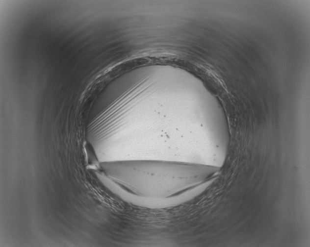 X0000081590920200702121510