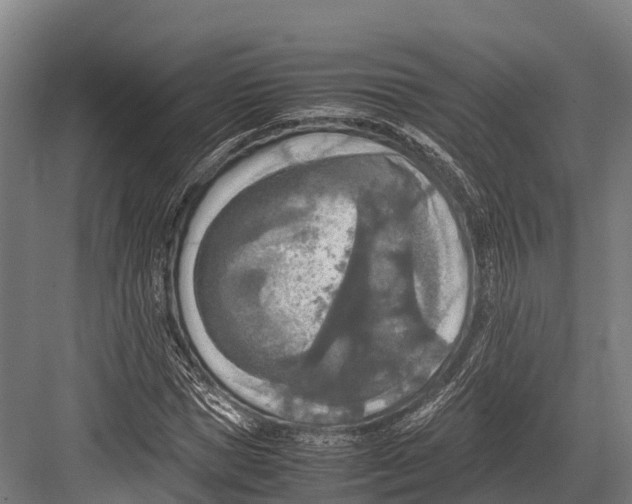 X0000081590921200702121510