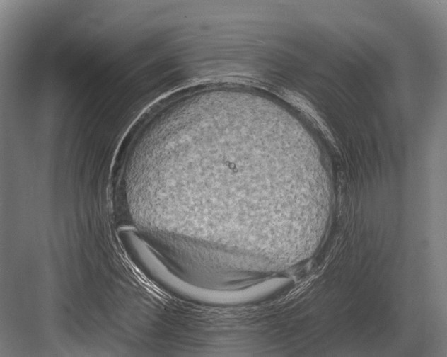 X0000081590924200702121510